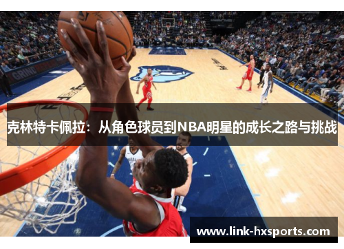 克林特卡佩拉：从角色球员到NBA明星的成长之路与挑战